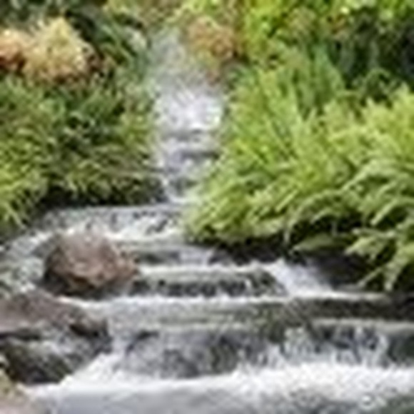 Meet your Posher, Celena - Picture 1 of 1